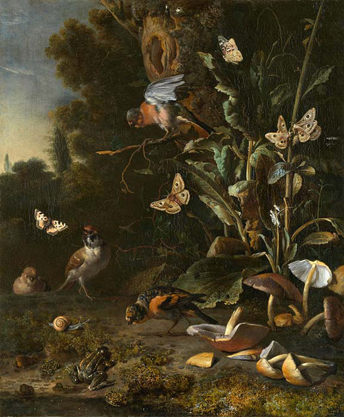Подлесок. Птицы, бабочки и лягушки среди растений и грибов