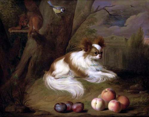 Собака с персиками и сливами