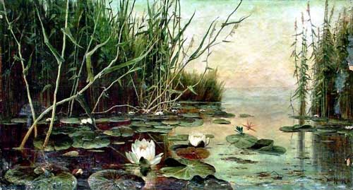 Озеро с водяными лилиями